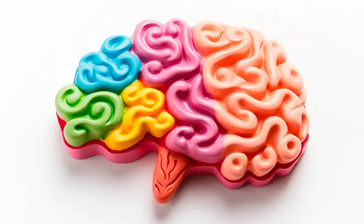 The Psychology of Color in Web Design: How Your Palette Impacts Sales - Rocket Web Designer