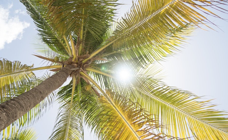 Seasonal Marketing for Service Businesses — Local Service Playbook (Part 5) - Rocket Web Designer